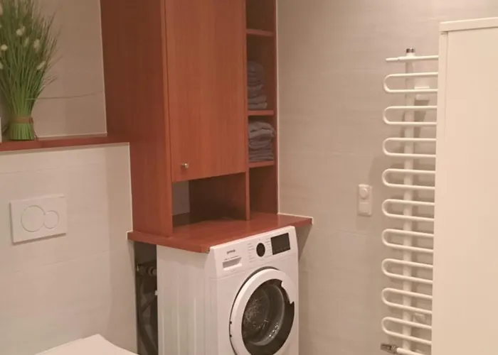 Garni Daniela Urich 3* Schwanenstadt